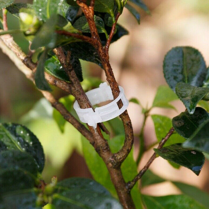 100PCS Greenhouse Garden Plant Tomato Support Veggie Clips Trellis Twine
