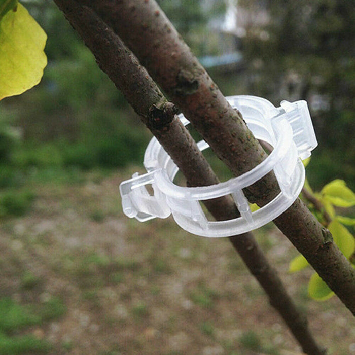 100PCS Greenhouse Garden Plant Tomato Support Veggie Clips Trellis Twine