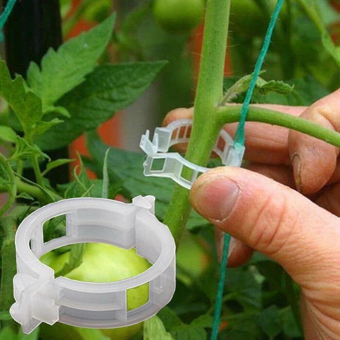 100PCS Greenhouse Garden Plant Tomato Support Veggie Clips Trellis Twine