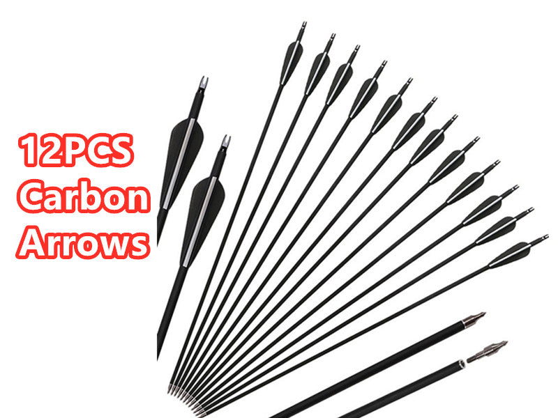 Carbon Arrows 12pcs