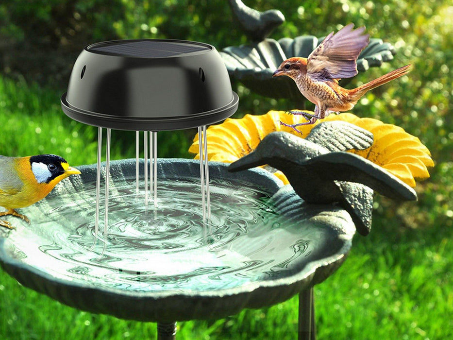 Solar Water Agitator Bird Bath — Off The Back