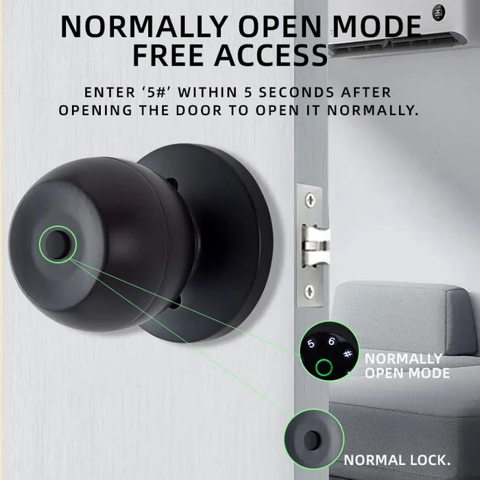 Smart Door Lock Ball Lock