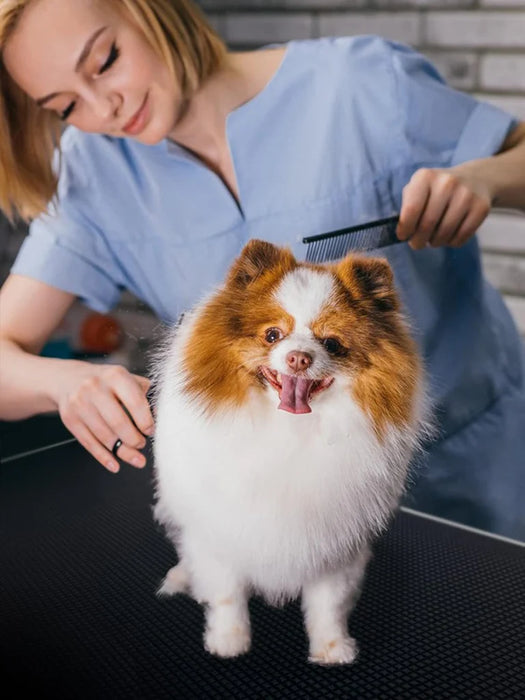 Large Pet Dog Grooming Table