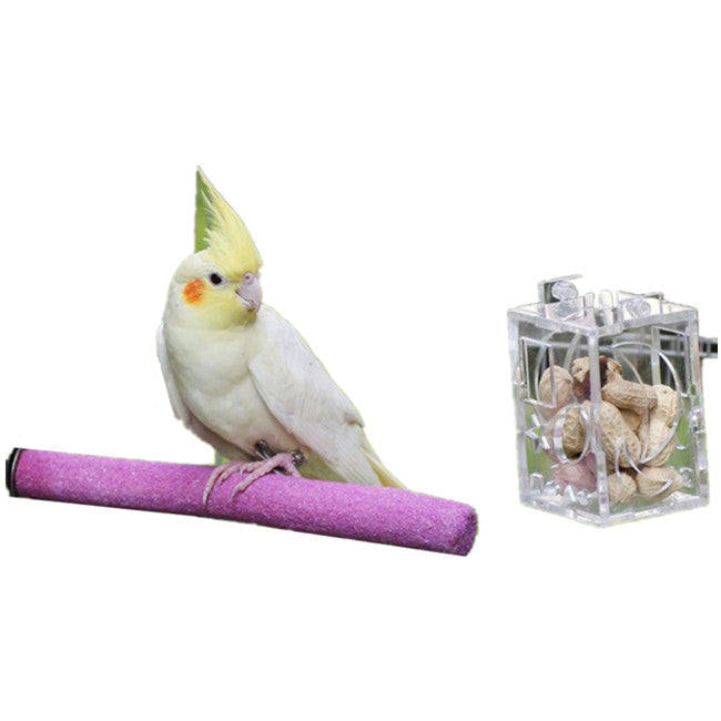 Bird Parrot Feeder