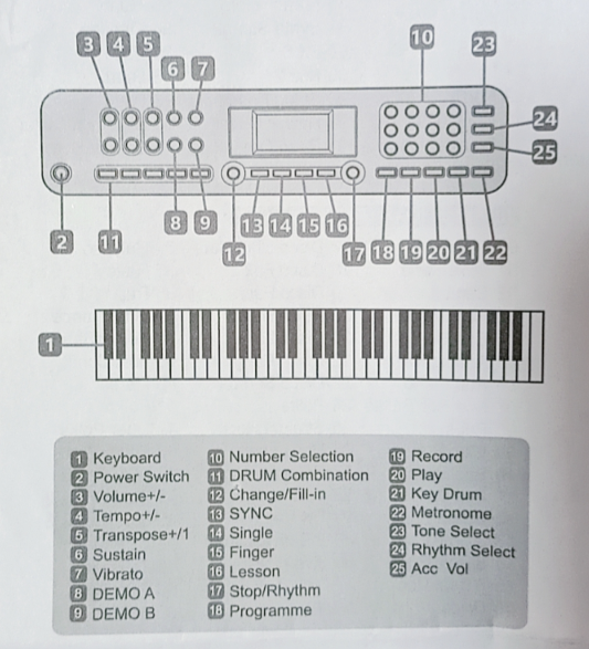 61 Key Keyboard Piano with Stand Suitable for Children