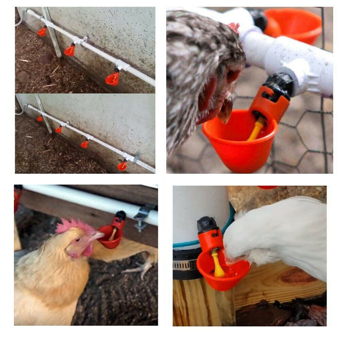 Automatic Cups Water Feeder Drinker Chicken Waterer Poultry Chook Bird