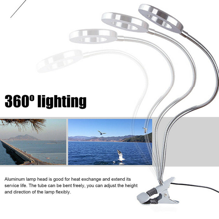 8X Magnifying Lamp Desk Table Magnifier Light