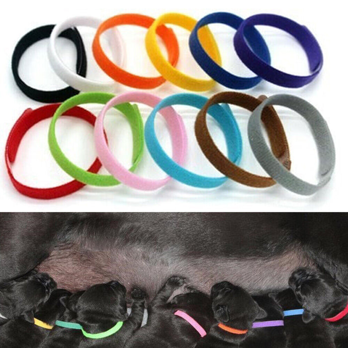 12 Colours Pet Whelping ID Collar Bands