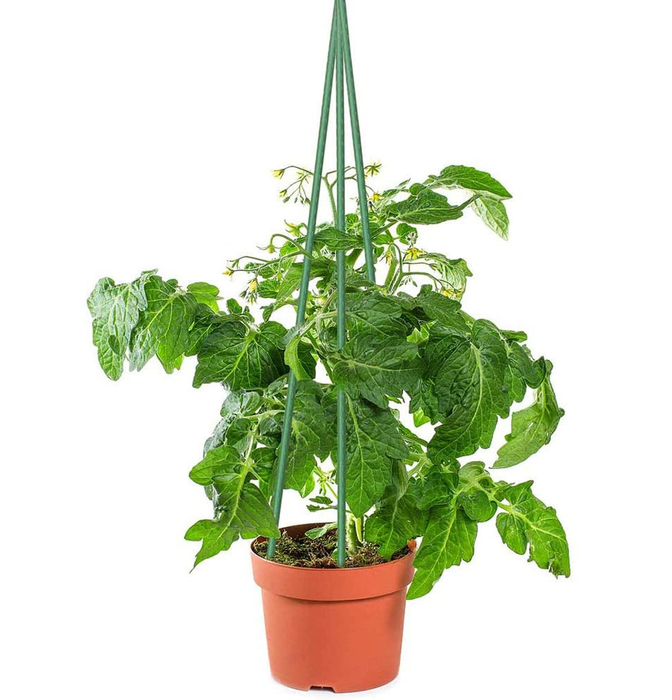 Metal Garden Stakes Plant Supports 10 Pack — Off The Back