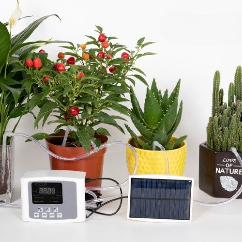 Solar Powered Automatic Digital Timer Watering System - Double Pump
