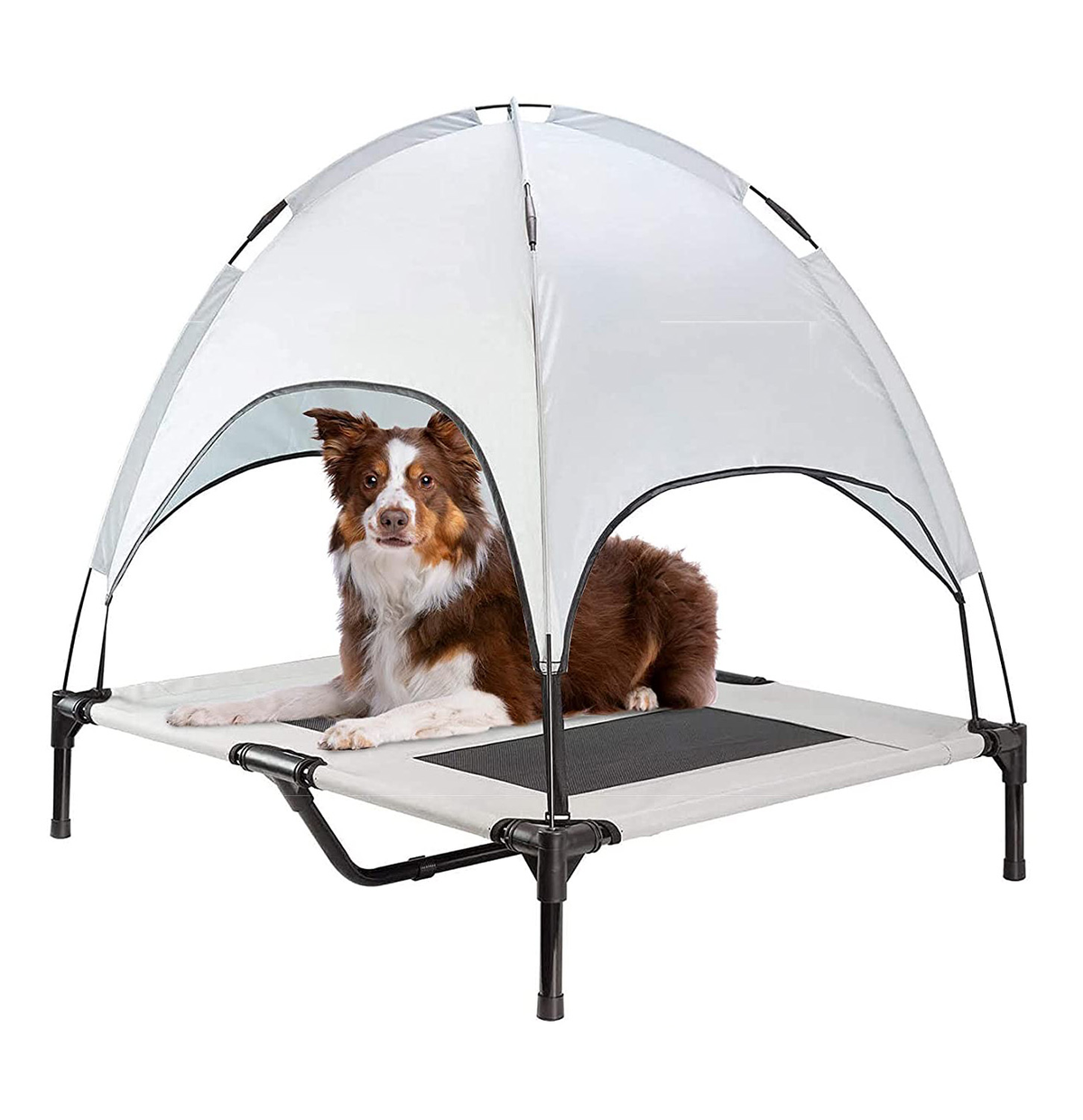 Elevated Outdoor Dog Bed With Canopy M — Off The Back