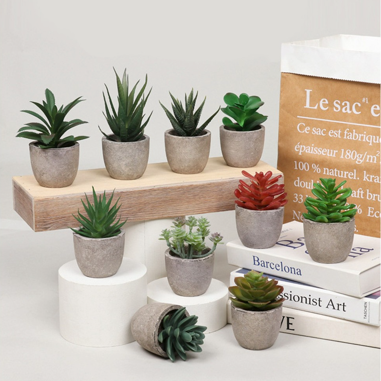 Home & Living > Home Decor > Faux Plants