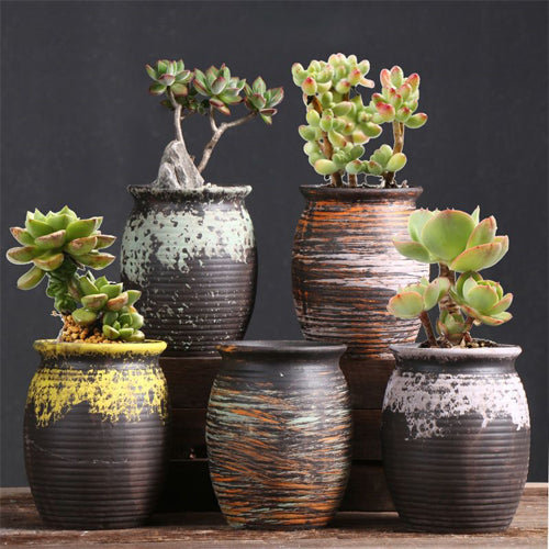 High Abstract Ceramic Succulent Pots 5 Pack