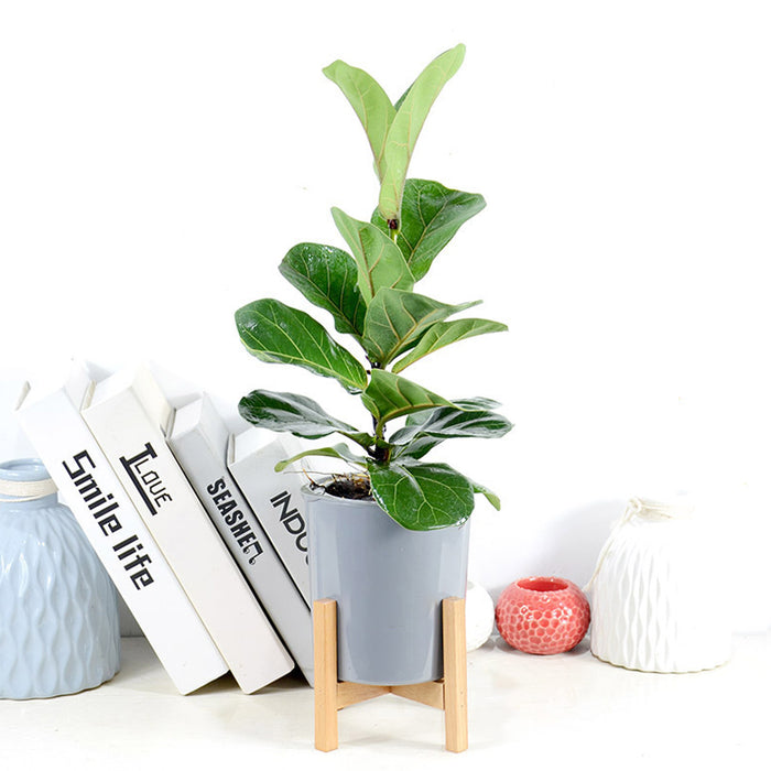 Modern Gray Plastic Plant Pot with Wood Stand  - Small