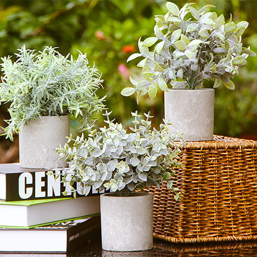 artificial pot plants nz Mini Potted Artificial Plants 3 Piece Set — Off The Back