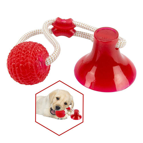 Dog Toothbrush Chew Toy With Suction Cup