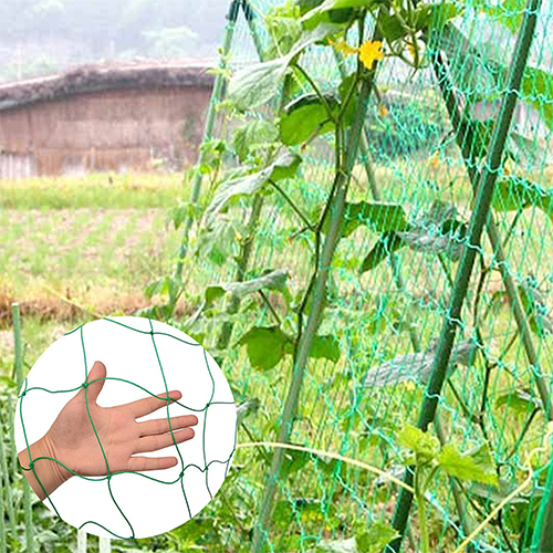 1.8 X5 M Grow Climbing Net With Garden Clips — Off The Back