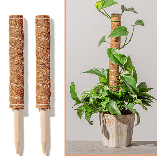 Coconut Liner For Climbing Plants 50 Cm