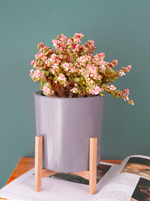 Modern Gray Plastic Plant Pot with Wood Stand  - Small