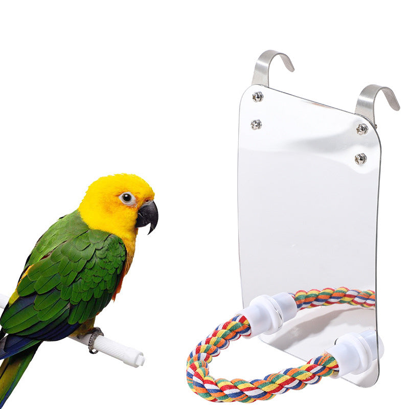DIY, Garden & Pet > Pet Supplies > Bird Toys