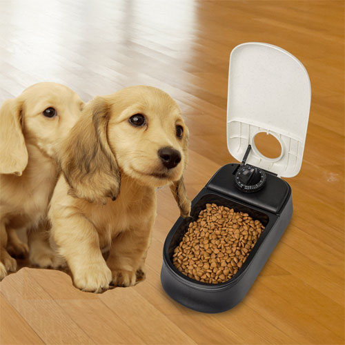 Automatic Pet Feeder With Ice Pack — Off The Back