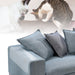 A set of four gray cat anti-scratch guards placed on a sofa, with a white cat interacting with one of the guards.